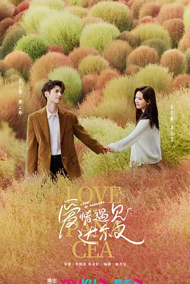 东台网站优化具体报价